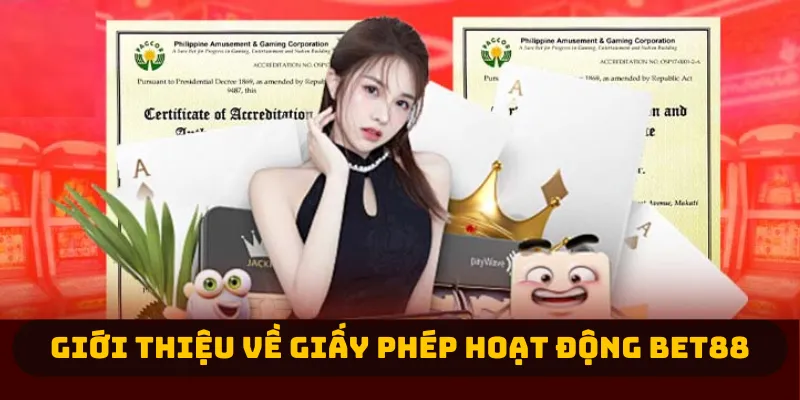 Giới thiệu về giấy phép hoạt động Bet88