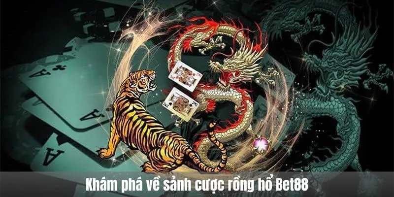 Khám phá về sảnh cược rồng hổ Bet88